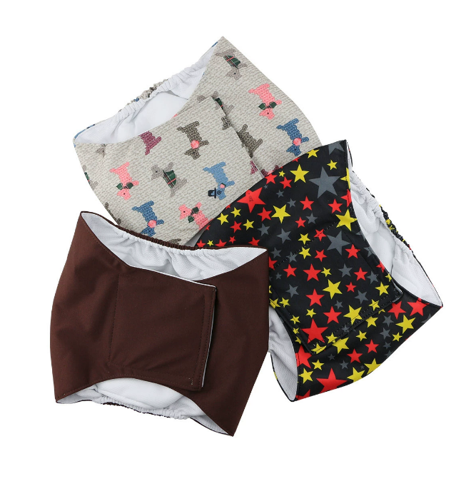 ペットの公犬は丁寧に尿パッドを持っています。ペットの公犬は嫌がらせを防止します。