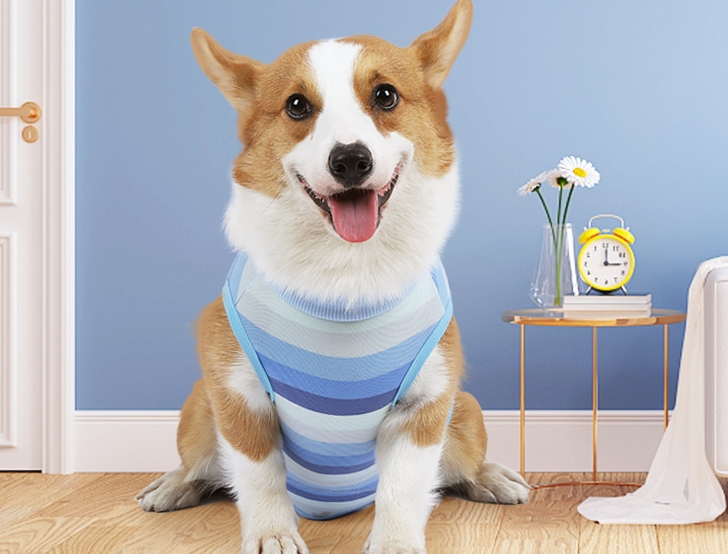 ペット服 中小型犬用 ボタン留めタイプ 犬の去勢後の舐め防止服 四季通用 通気性があり体にフィットする 術後ケア