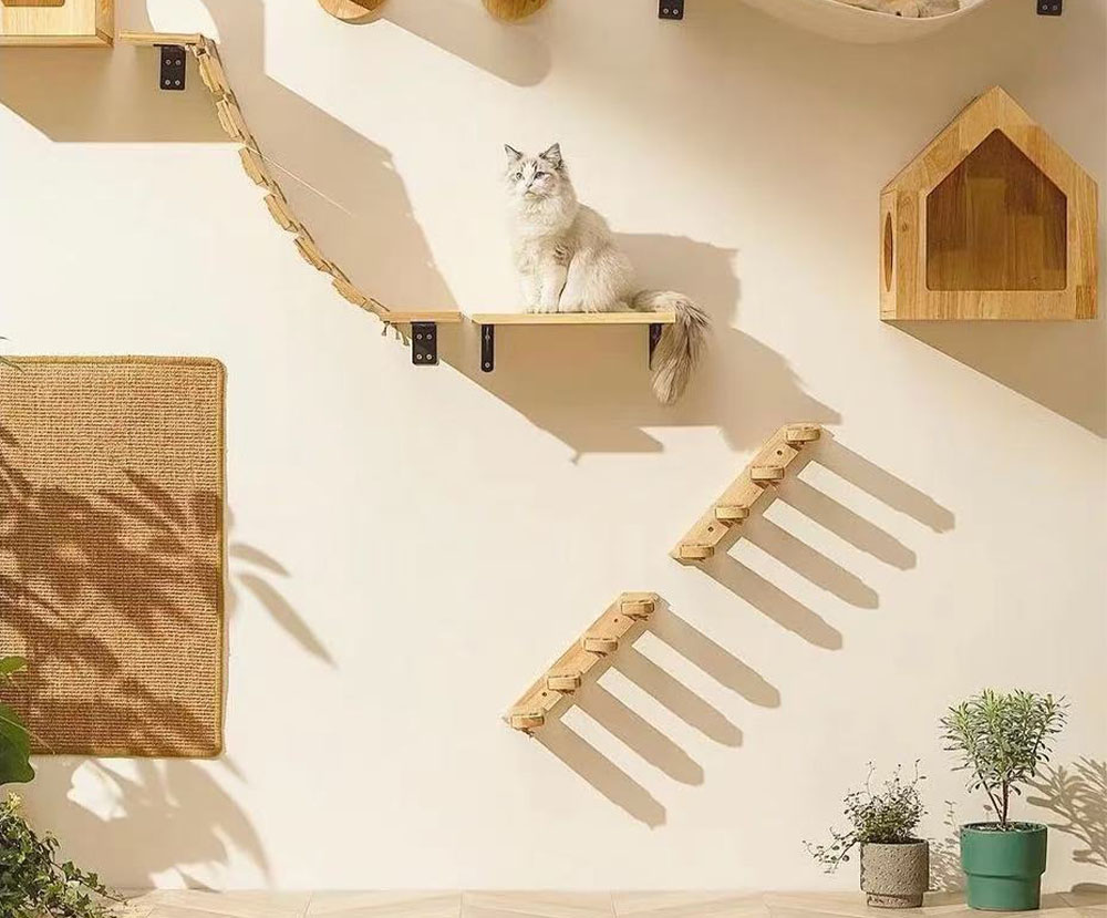 中国からペット用品を輸入する手順