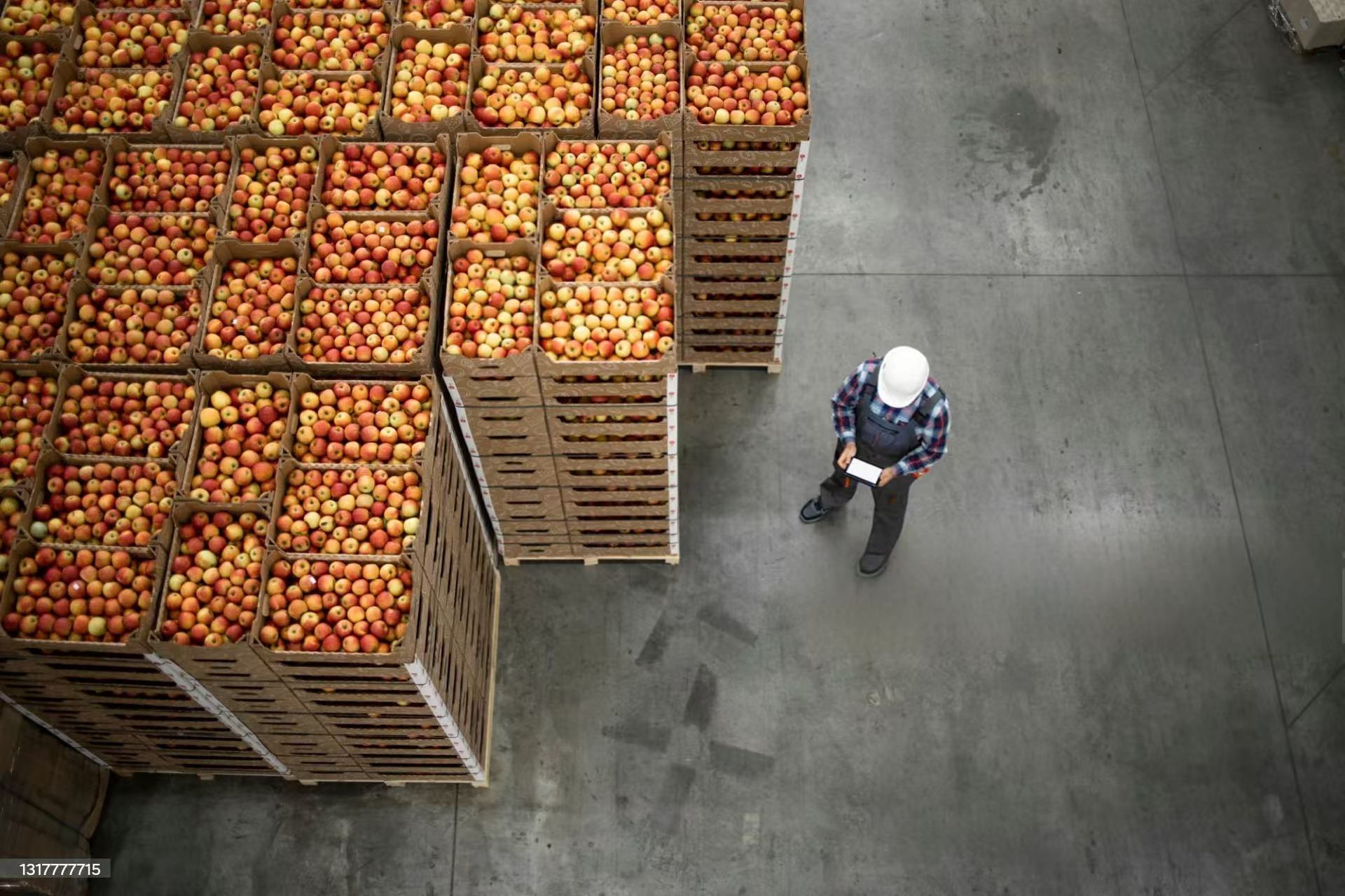 食品衛生法で輸入できない商品について